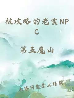 被攻略的老实NPC