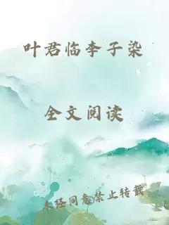 叶君临李子染