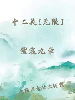 十二关[无限]