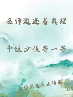 巫师追逐着真理