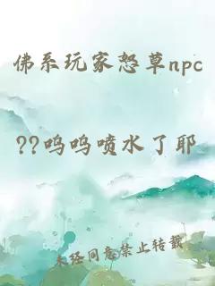 佛系玩家怒草npc