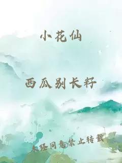 小花仙